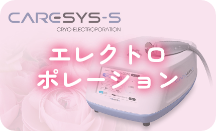 エレクトロポレーション