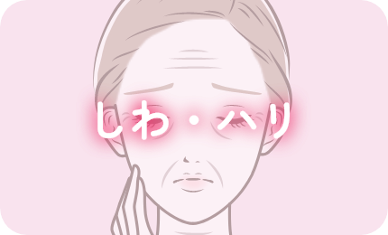 しわ・ハリ
