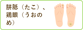胼胝（たこ）、鶏眼（うおのめ）
