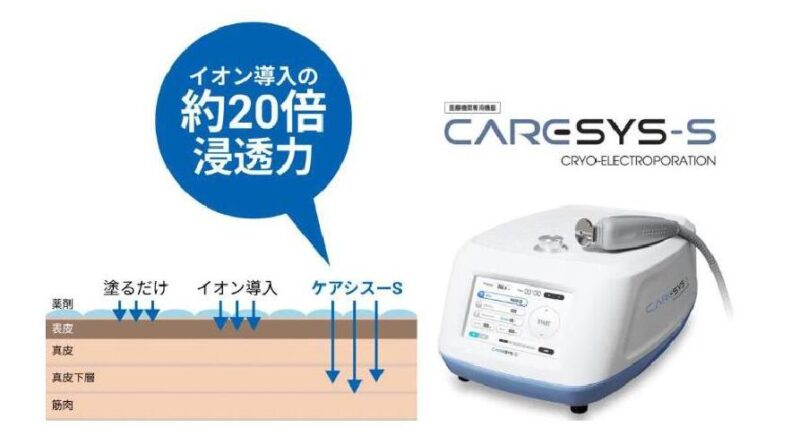 エレクトロポレーションについて (2024 年 1 月更新)のアイキャッチ画像